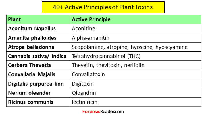 Active Principle of Plant Toxins: Forensic Medicine and Toxicology